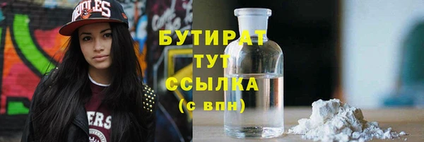 индика Абаза