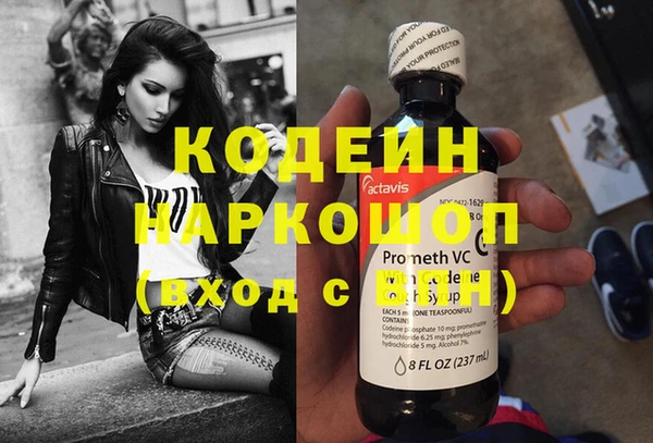 индика Абаза
