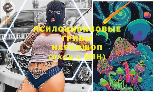 индика Абаза