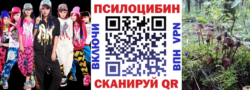 как найти закладки Сысерть Псилоцибиновые грибы GOLDEN TEACHER